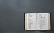 open Bible on gray background 