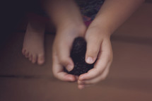 toddler holding blackberries 