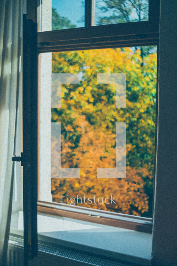 view of fall trees through an opened window 