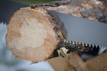 sawing a log 