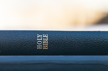 Bible and journal spines