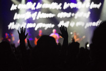 raised hands of an audience at a concert 