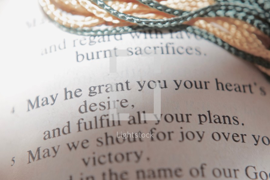 May he grant you your heart's desire, and fulfill all your plans. May we shout for joy over your victory, and in the name of God set up our banners.