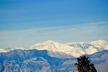 view of Snow capped mountains from the Las Vegas Valley and the contrast of palm trees in January 