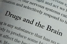 Drugs and the Brain 