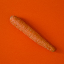 carrot on red 