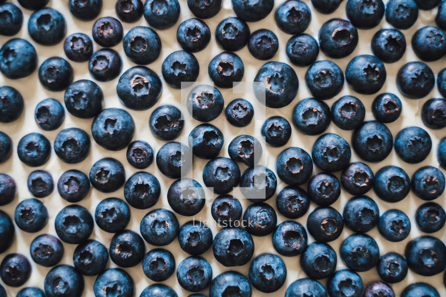 blueberries on a tart 