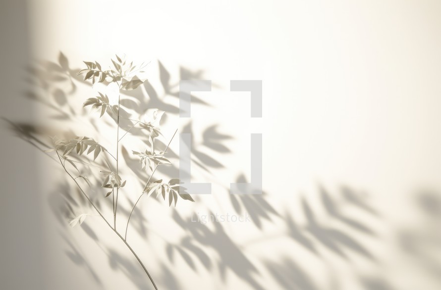 Shadow of leaves on white wall with sunlight and shadows. Nature background.