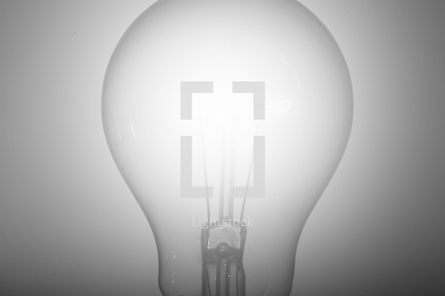 lightbulb 