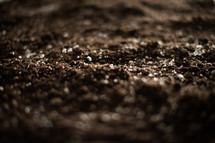 potting soil 