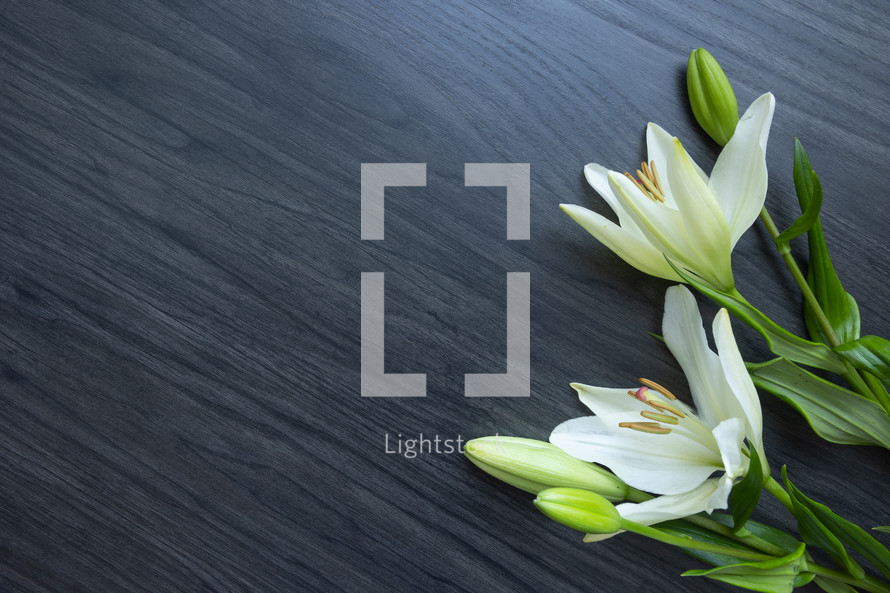 white lilies on a wood background 
