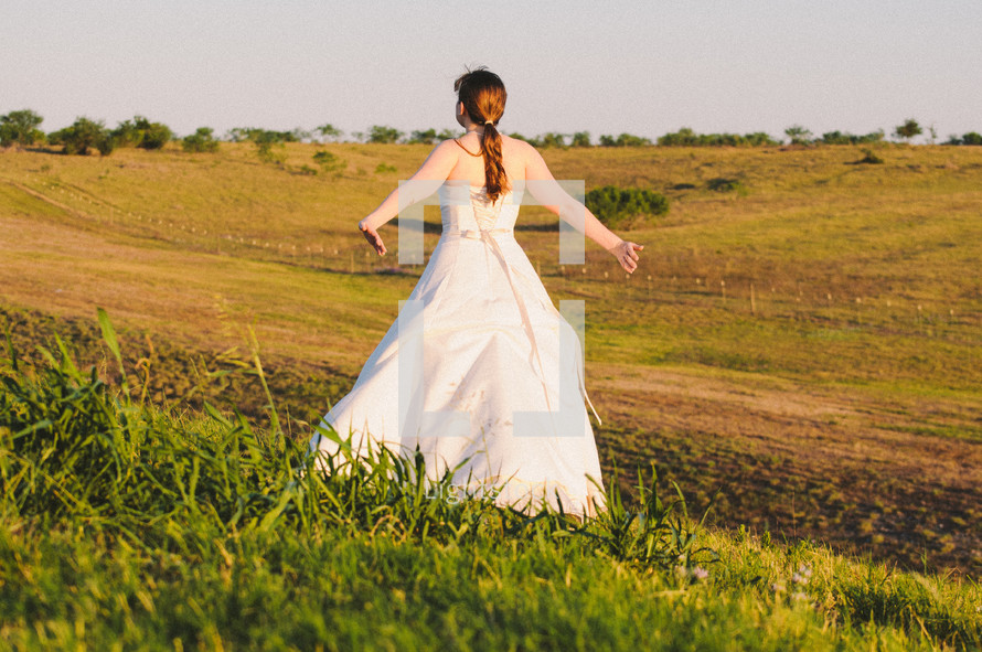 A bride in a pasture.