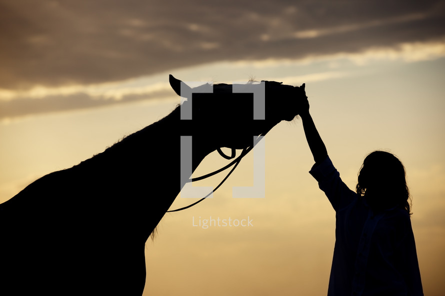 a woman petting a horse 
