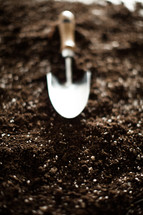 shovel on potting soil 