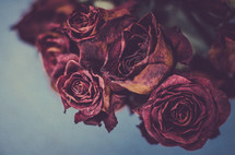 dried roses