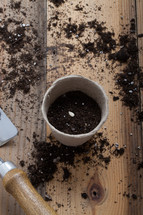 seed in a pot and potting soil 