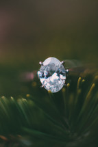 diamond ring on pine needles 