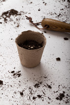 seeds in a pot and potting soil 