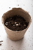 seeds in a pot of soil 