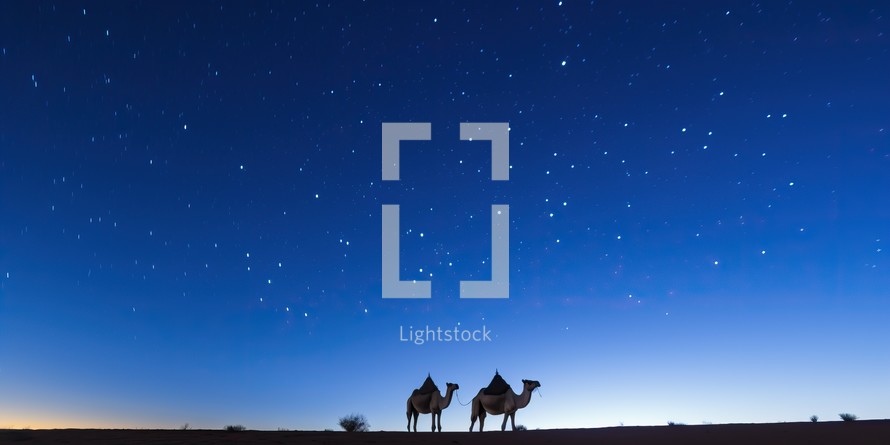  Two camels silhouetted against a starry sky at dusk