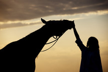 a woman petting a horse 
