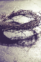 crown of thorns and a shadow