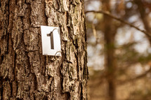 a marker on a tree for hikers