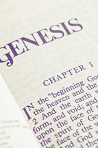 Genesis 1 - the creation story