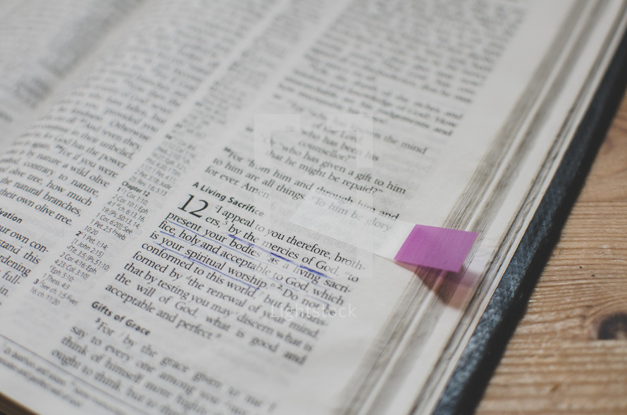 A bible open at Romans 12 with a purple post-in page marker