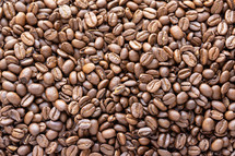 coffee beans texture 