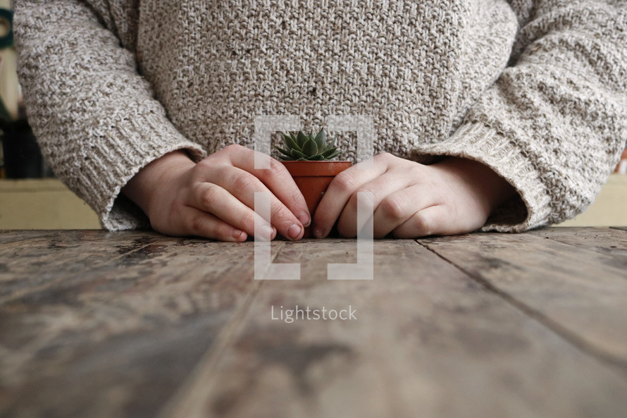 woman with a small succulent plant 