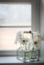 vases of flowers in a window sill 