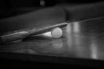 ping pong paddle 