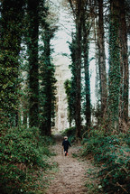 a toddler boy walking through a forest 
