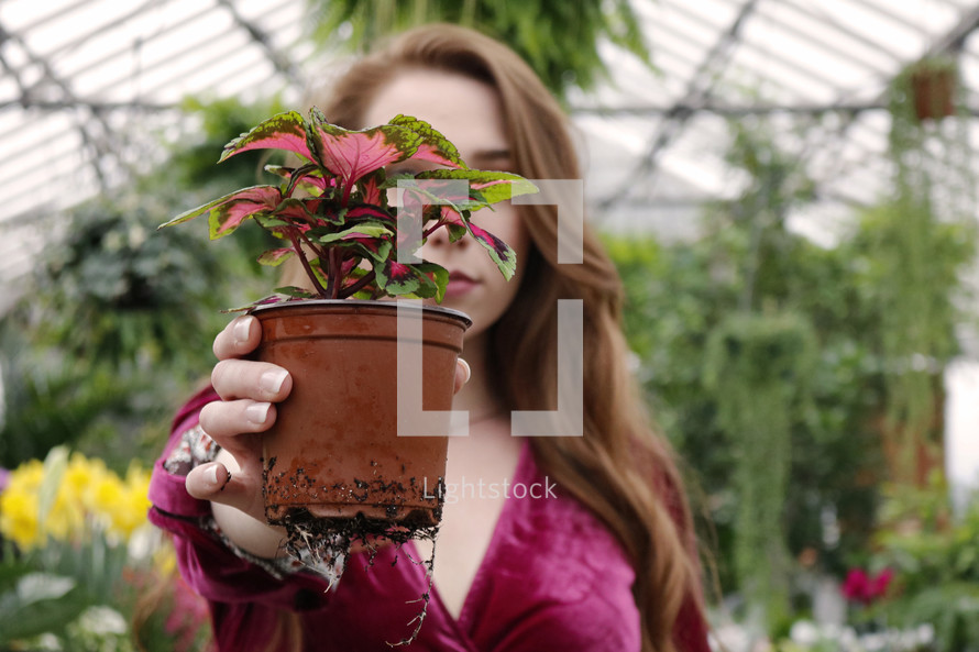 a woman holding a plant in a greenhouse 