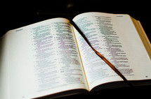 Bible open to Isaiah in the morning light