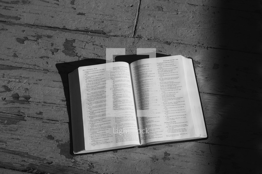 Bible laying open on rugged wood.