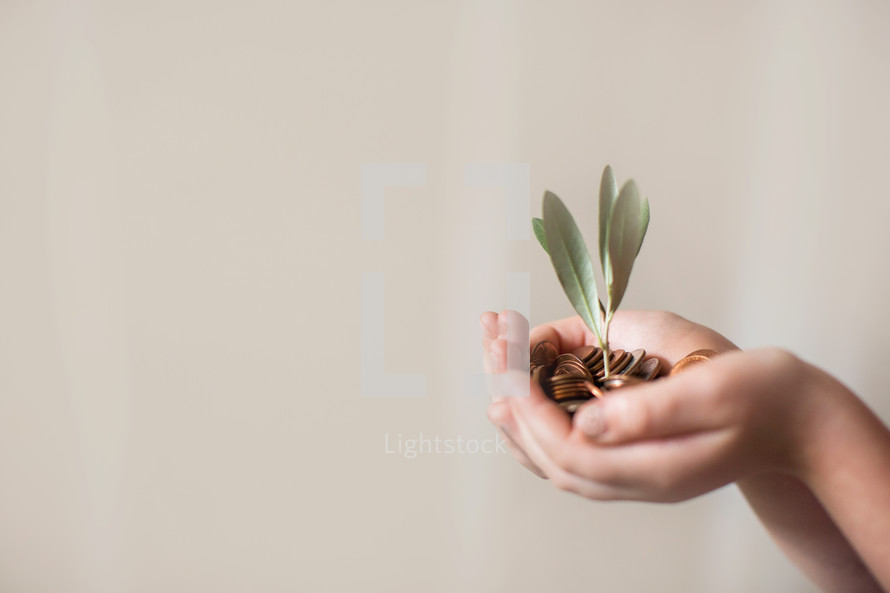 Cupped hands holding coins growing a plant
