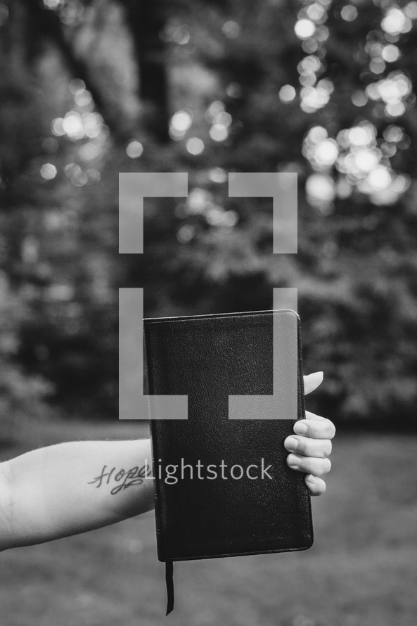 Tattooed arm holding a Bible outside.