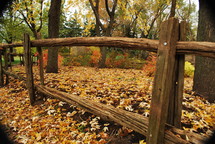 wood fence and fall leaves