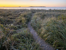 path through a marsh 
