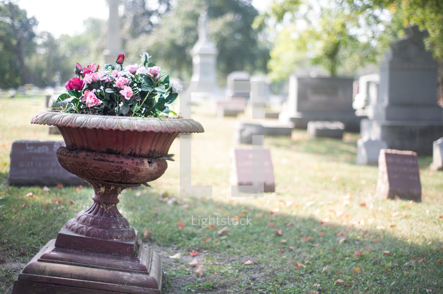 flowers in a planter in a cemetery - life and death 