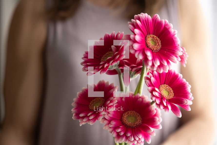 Woman holding bouquet of pink flowers close up