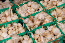 Baskets of garlic cloves.