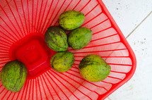 Fresh Mangoes in a red basket.