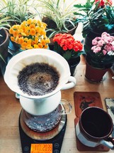 slow brew coffee and potted plants 