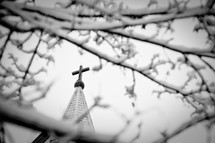 Church steeple with cross through tree branches.