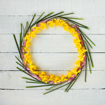 a daffodil wreath on a white board