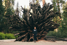a woman standing in front of the roots of a fallen redwood tree 