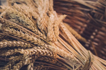 a basket with a sheaf of wheat